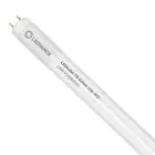 Ledvance LED Buis T8 Value (UN) High Output 24W 2550lm - 830 Warm Wit | 150cm - Vervangt 58W