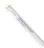 Noxion Tube LED T8 Avant Extreme (HF) High Output 20W 3100lm - 865 Lumière du Jour | 150cm - Équivalent 58W
